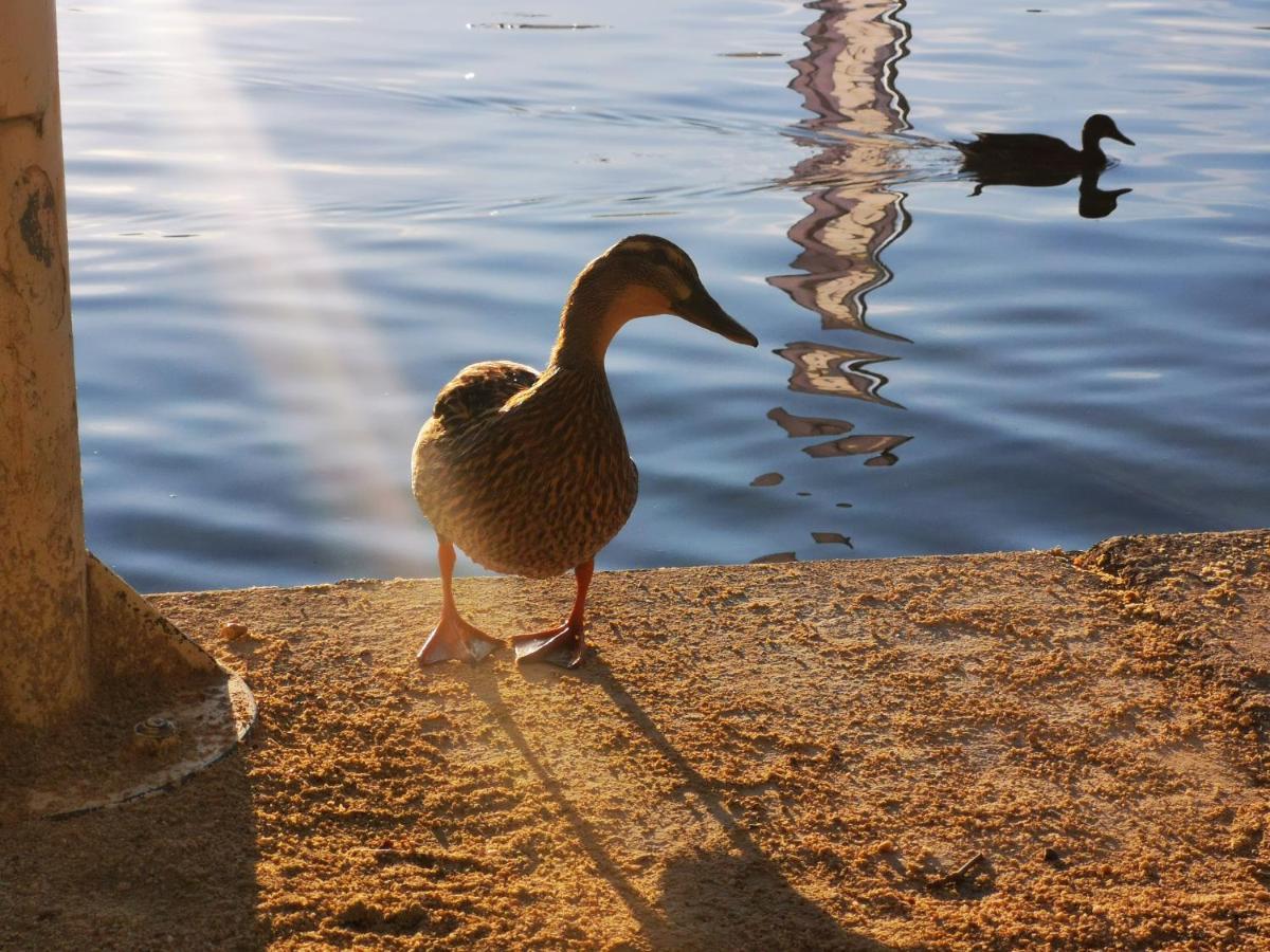 Ferienparadies Gutounik Pörtschach am Wörthersee Exteriér fotografie