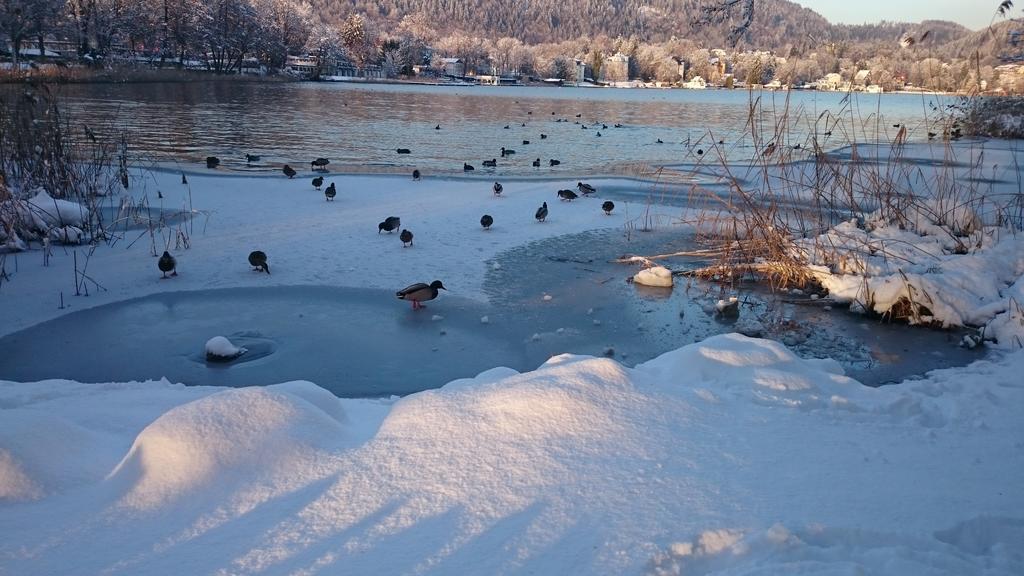Ferienparadies Gutounik Pörtschach am Wörthersee Exteriér fotografie